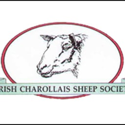 Irish Charolais Sheep Society